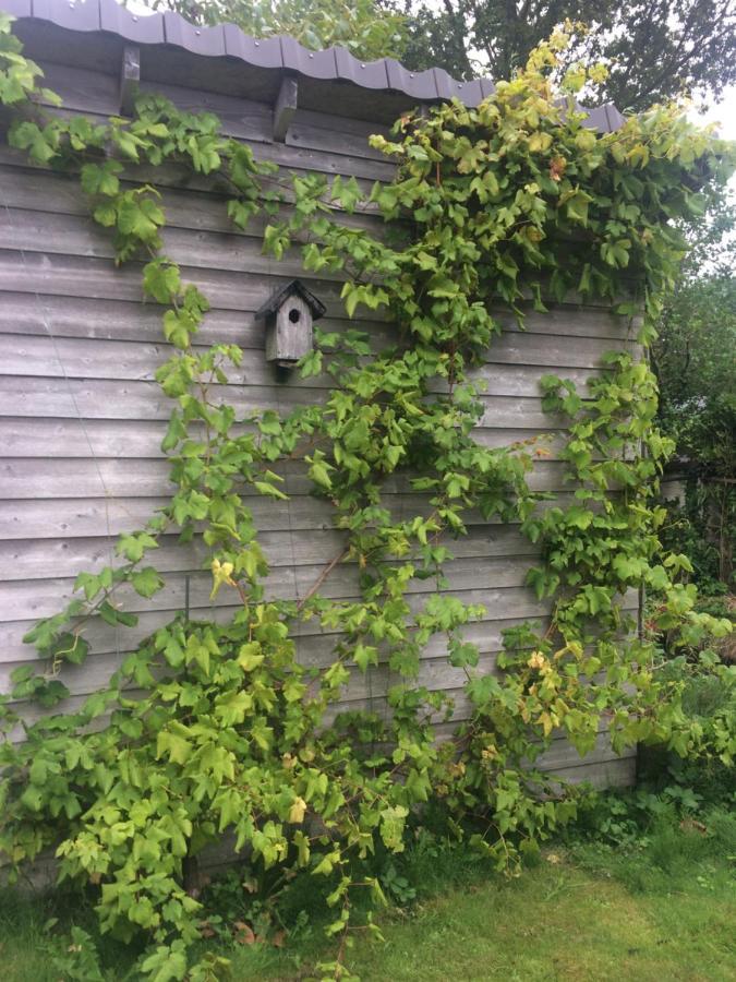 Bergen Holiday Home Σχόορλ Εξωτερικό φωτογραφία
